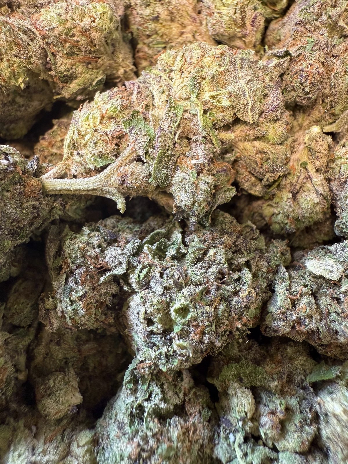 Ounce Gelato 33